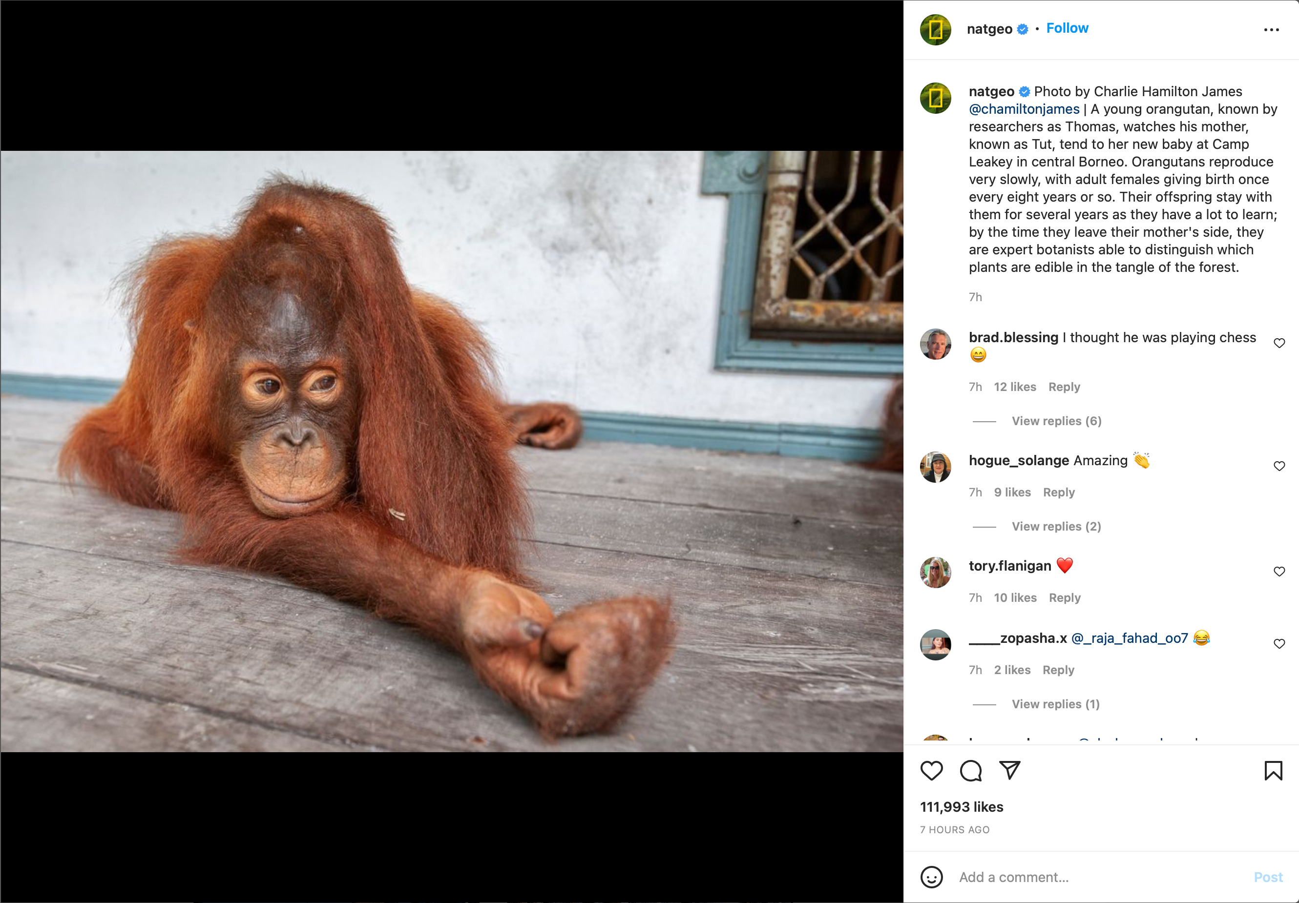 National Geographic brand storytelling example